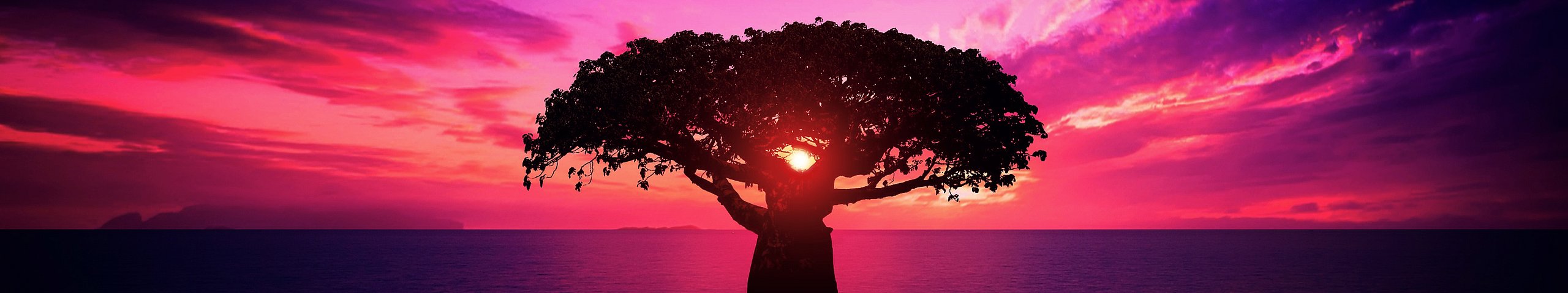 Baobab_Tree_at_Sunset_-_African_Landscape_-_Calm_-_Relaxing_-_Tranquility